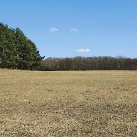 Ferienwohnung, Lohmen